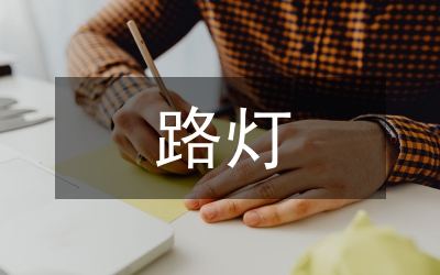 城管隊(duì)路燈管理匯報(bào)
