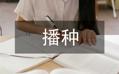 國槐播種育苗技術探討