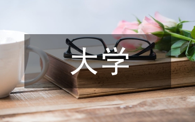 大學(xué)教師考核述職報(bào)告