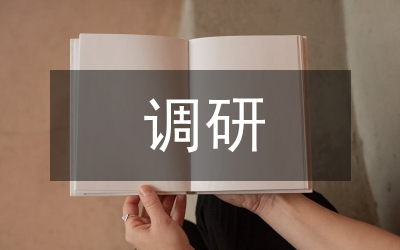 縣長(zhǎng)調(diào)研匯報(bào)材料