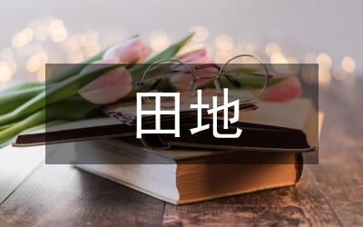 田地征收補償標(biāo)準(zhǔn)