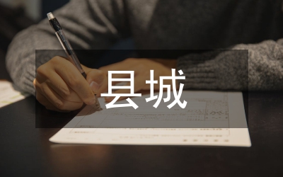 大力實(shí)施縣城優(yōu)先發(fā)展戰(zhàn)略