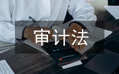 關(guān)于貫徹執(zhí)行《中華人民共和國(guó)審計(jì)法》情況的報(bào)告