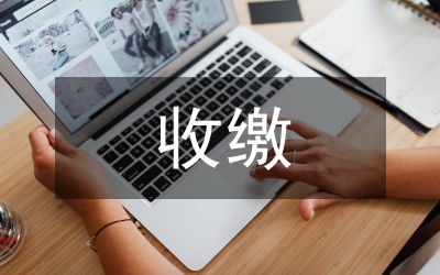 社?；鹗绽U支付論文