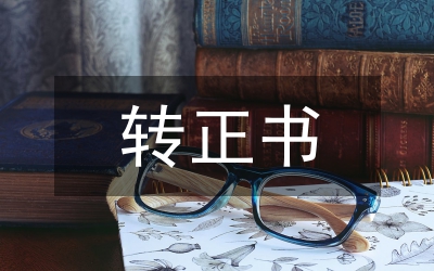 半年轉(zhuǎn)正總結(jié)