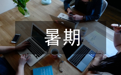 政法系暑期實踐活動個人總結(jié)