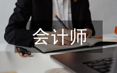 會(huì)計(jì)師行業(yè)考察報(bào)告論文