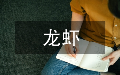 巧手吃龍蝦