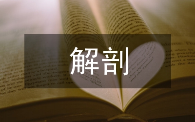 解剖實驗