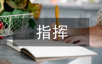 應(yīng)急指揮工作要點(diǎn)