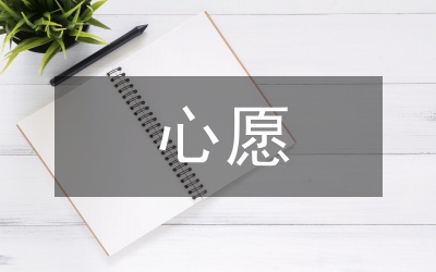 微心愿活動(dòng)總結(jié)