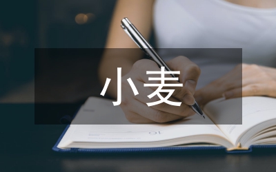 小麥冬季凍害預(yù)防