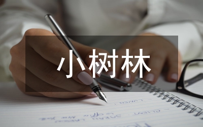雨中的樹林
