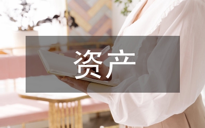 國資產(chǎn)