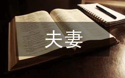 我國夫妻財(cái)產(chǎn)制度研討論文