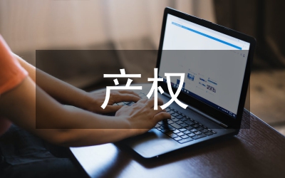 鄉(xiāng)鎮(zhèn)企業(yè)產(chǎn)權(quán)及改革詮釋