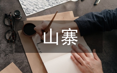 山寨文化分析論文