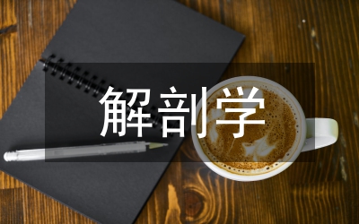 解剖學(xué)