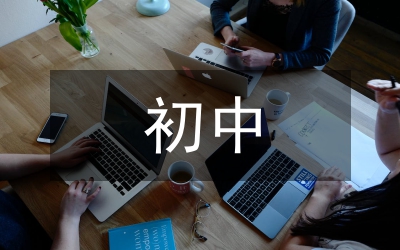 初中英語教師課堂過渡語研究