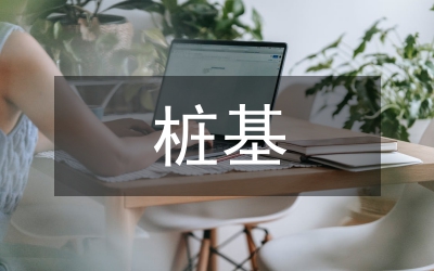 旋挖樁基施工項(xiàng)目總結(jié)
