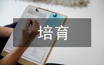 國(guó)有外貿(mào)企業(yè)核心競(jìng)爭(zhēng)力培育論文