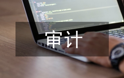 審計政府性資金調(diào)研報告