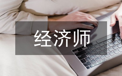 助理經(jīng)濟(jì)師專業(yè)技術(shù)工作總結(jié)