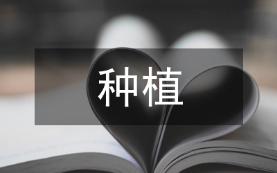 茄子種植發(fā)展現(xiàn)代化論文