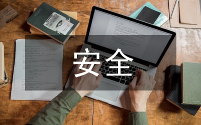 安監(jiān)局安全整治工作報告5篇