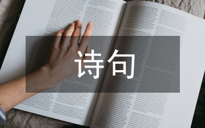 九九重陽節(jié)詩句