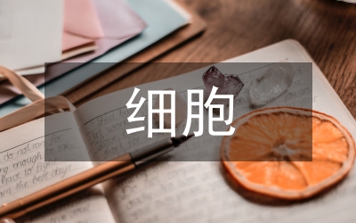 幽默細(xì)胞