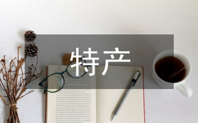 平遙古城特產(chǎn)包裝設(shè)計(jì)思路