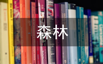 林區(qū)森林旅游狀況與策略